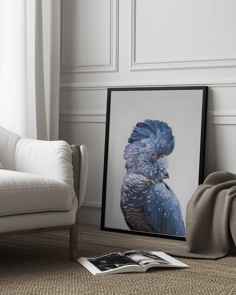 Black Cockatoo Poster