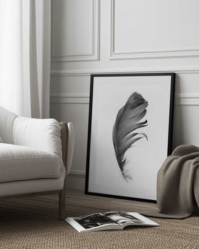 Feather Poster