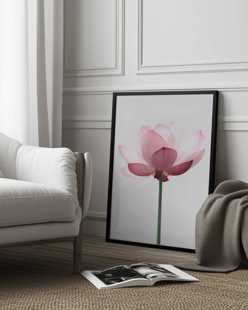 Lotus Flower Poster