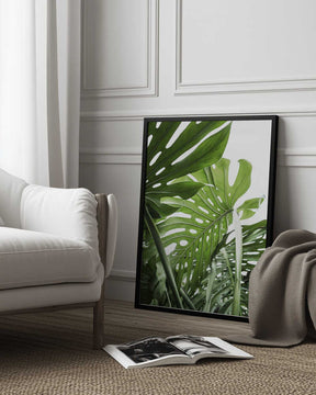 Jungle Poster