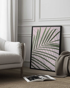 Palm Leaf Shadow Poster