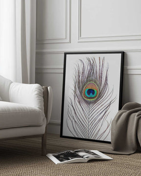 Peacock Feather Poster