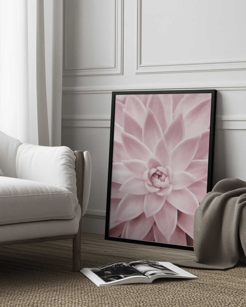 Pink Succulent Poster