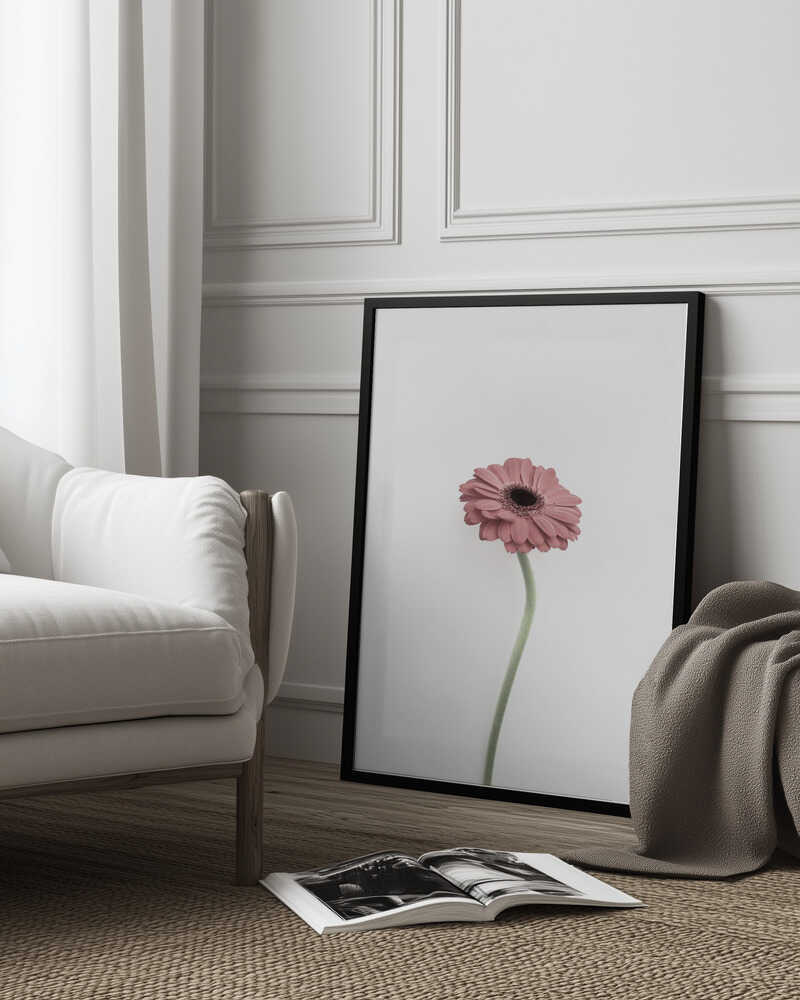 Pink Gerbera Poster