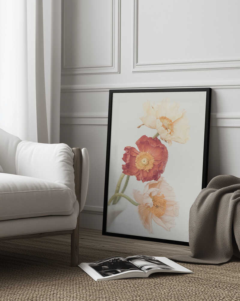 Poppies Poster