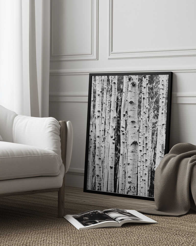 Birches Poster