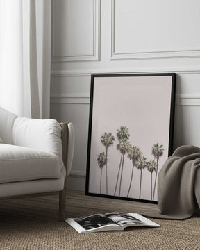 Blush Palms Poster