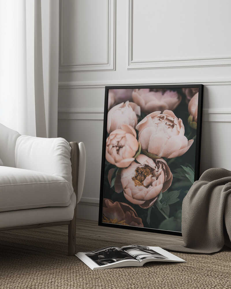 Coral Peonies Poster