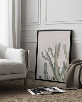 Sunrise Cactus Poster