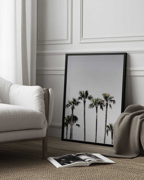 Palm Trees 5 Poster