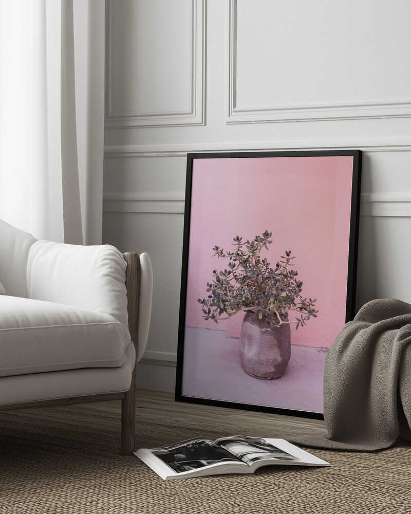 Spanish Rustic Succulent Poster