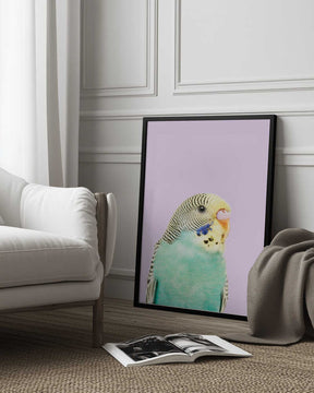 Badgie Poster