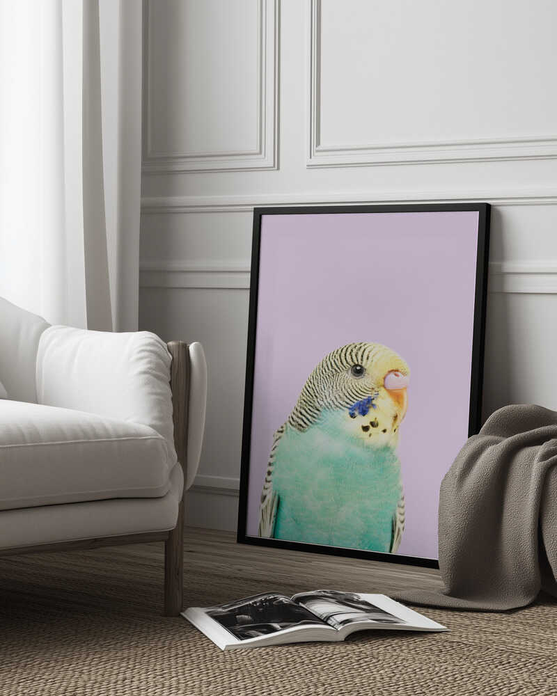Badgie Poster