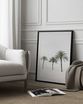 Palms Poster