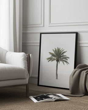 Palm Poster