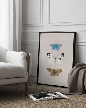 English Butterlies 2 Poster