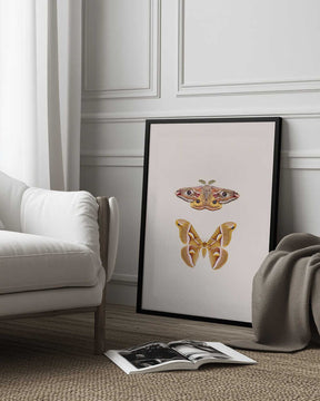 Moths Poster