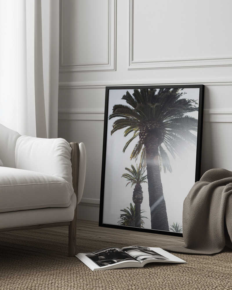 Palm Trees Poster