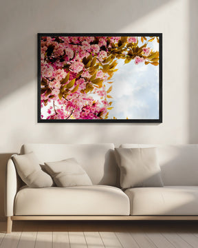 Blossom In Pink Poster