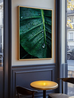 Rain Kissed Leaf Poster