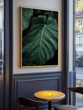 Rain Kissed Leaves Poster