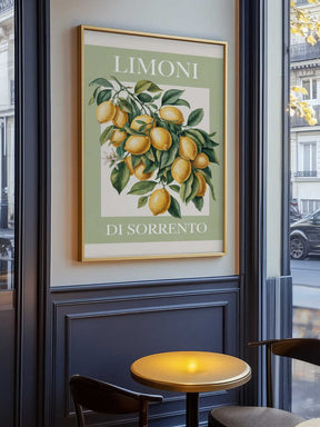 Limoni Di Sorrento 2 Poster