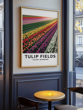 Tulip Fields Poster
