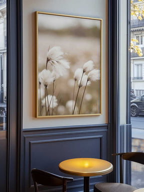 Cotton Grass - Eriophorum Poster
