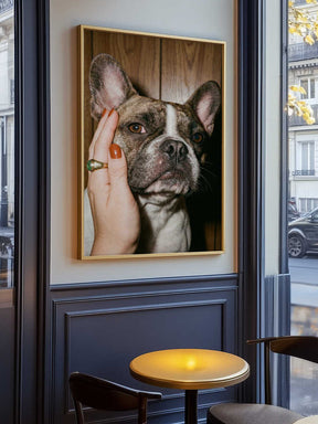Petting a Frenchie Poster