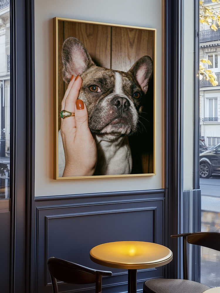 Petting a Frenchie Poster