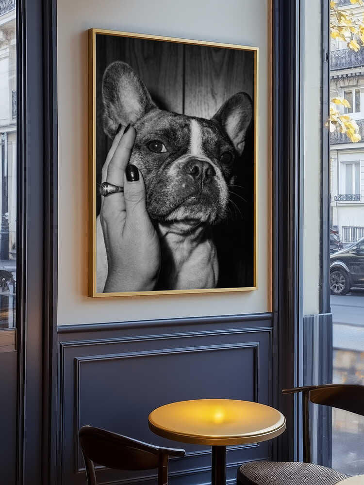Petting a Frenchie Poster