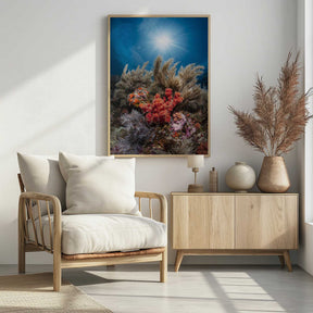 Underwater life Poster