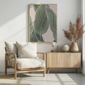 Calla Leaf Poster