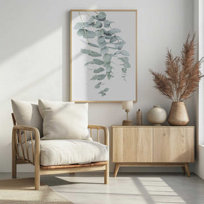 Eucalyptus I Poster
