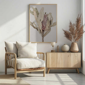 Banksia Poster