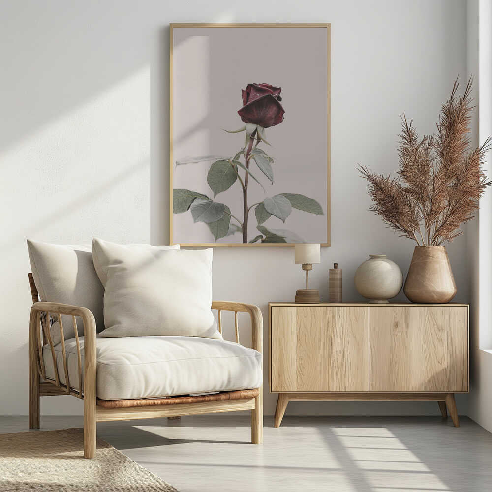 Rose Poster