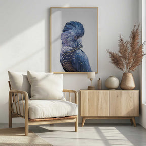 Black Cockatoo Poster