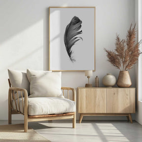 Feather Poster