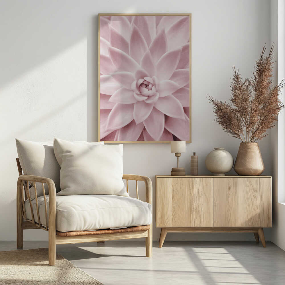 Pink Succulent Poster