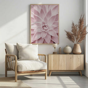 Pink Succulent Poster