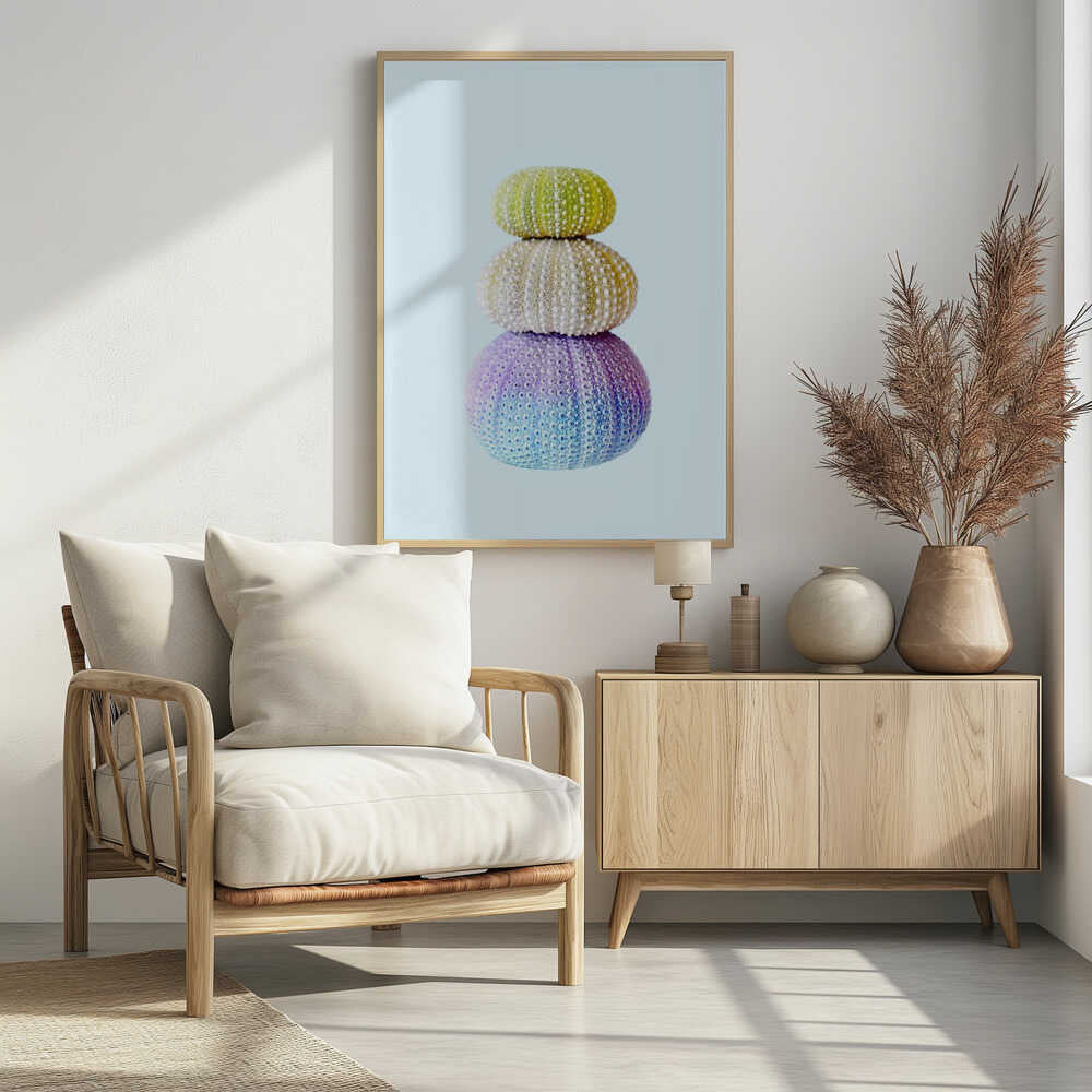 Sea Urchins Poster
