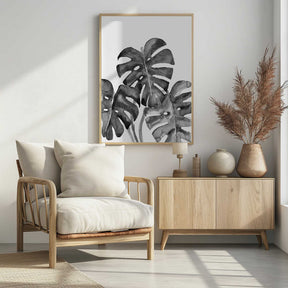 Monstera leaves in loose watercolor bw Poster