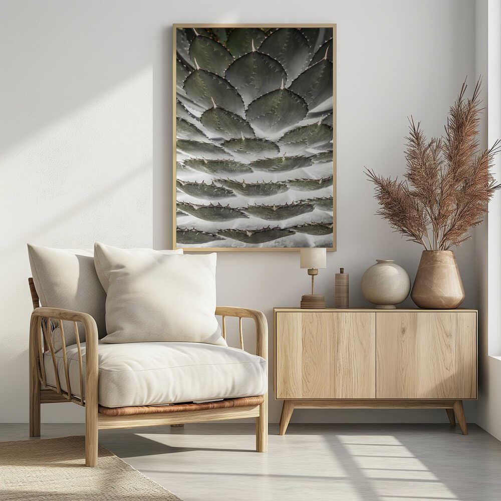Spiral Succulent Poster