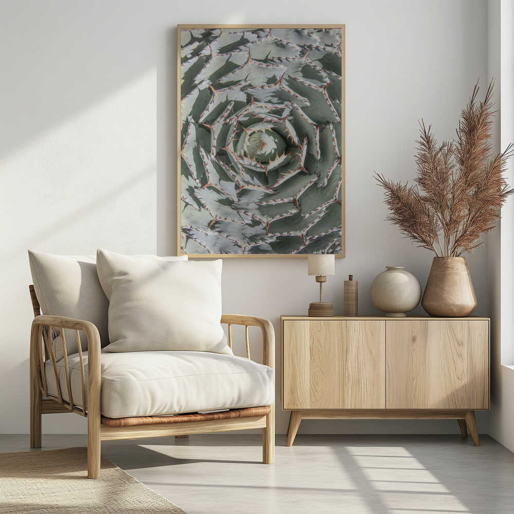 Spiral Succulent Maze Poster