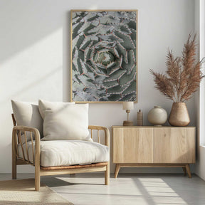 Spiral Succulent Maze Poster
