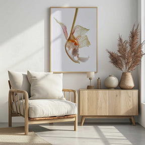 Petal Symphony Poster