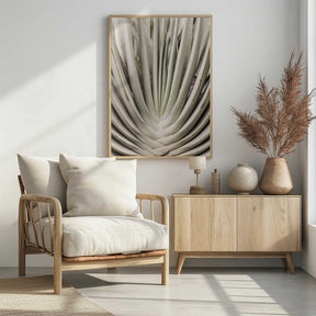 Desert Fan Dance Poster