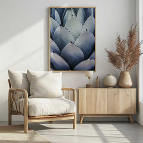 Agave Geometry Poster