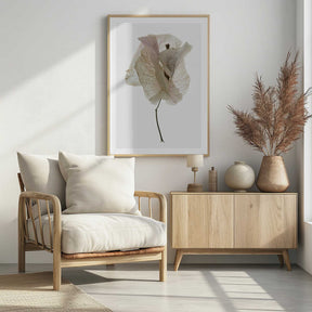 Petal Whisper Poster