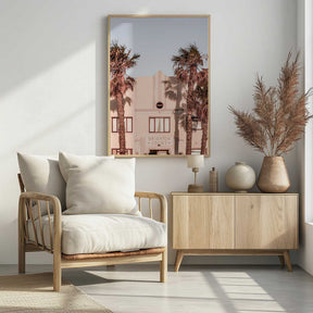Palm Shadows Poster